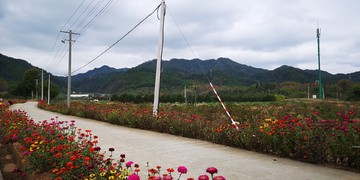 美丽乡村