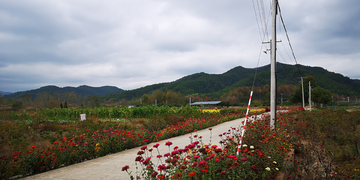 美丽乡村