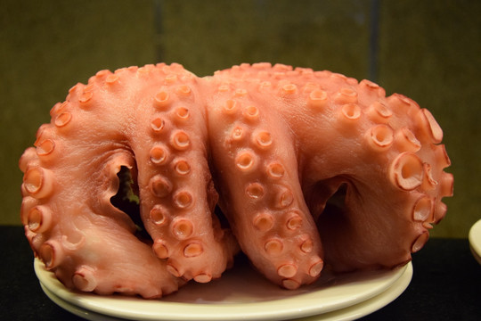 八爪鱼