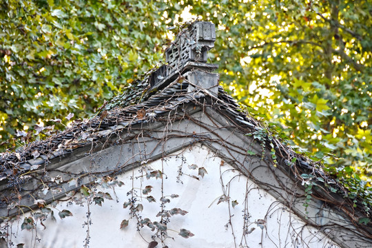 江南古建筑屋脊