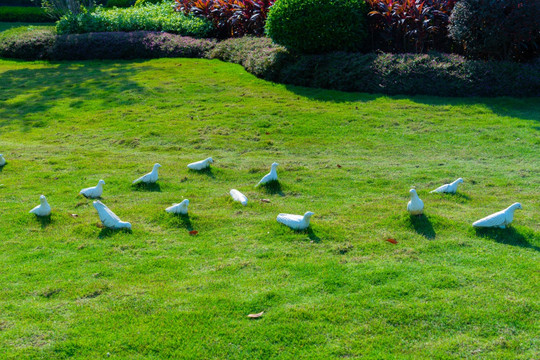 草坪鸽子雕塑