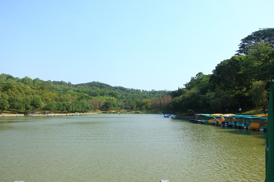 深圳莲花湖