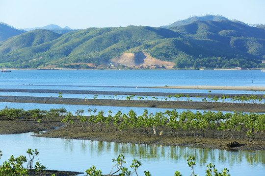 惠州盐洲岛湿地公园