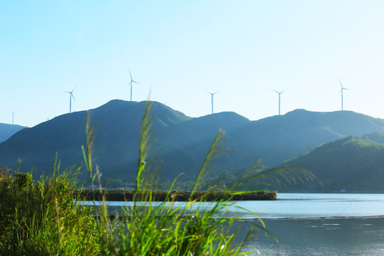 惠州盐洲岛湿地公园