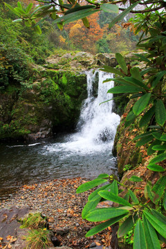 山涧瀑布溪流