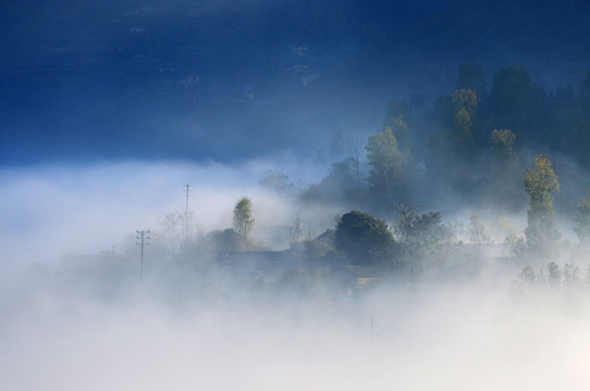 乡村雾景