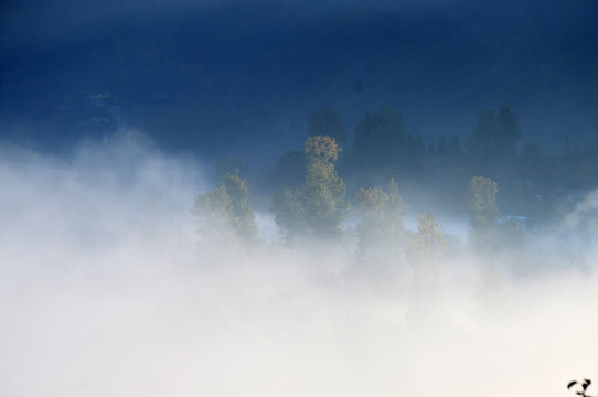 乡村雾景