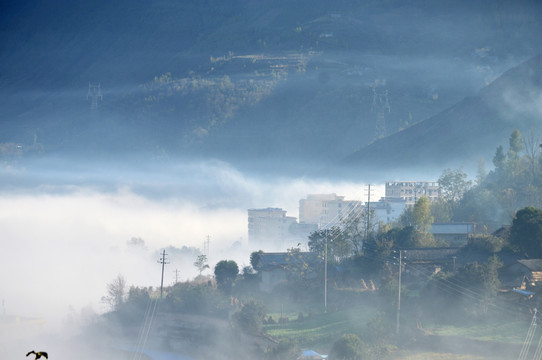乡村雾景