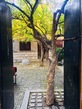 古庭院