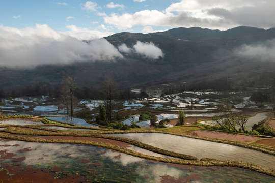 元阳梯田