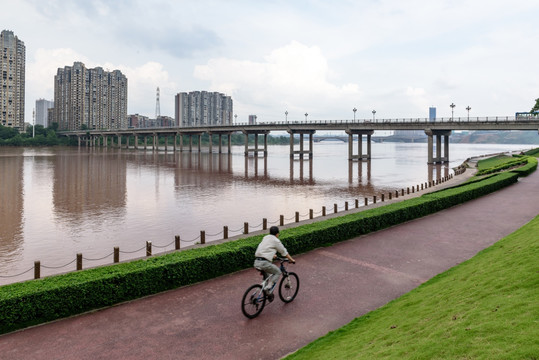 江岸城市跨江大桥城市倒影