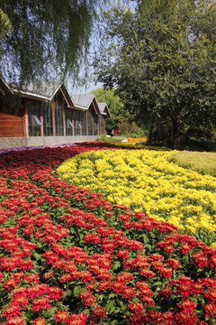 北京国际鲜花港花圃