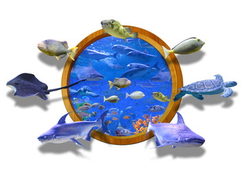 海底世界3D立体画