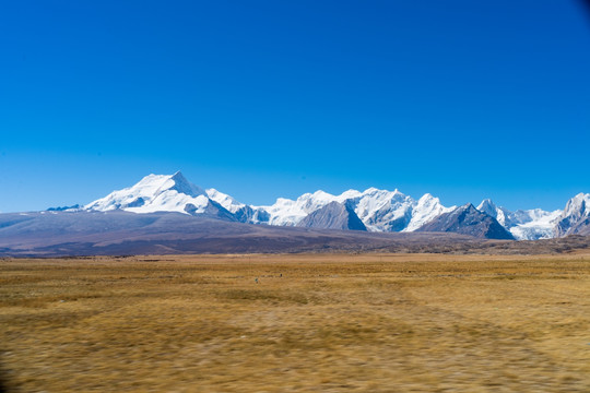 西藏希夏邦马峰07