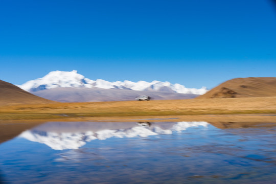 西藏希夏邦马峰36