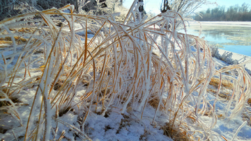 美丽的雪挂