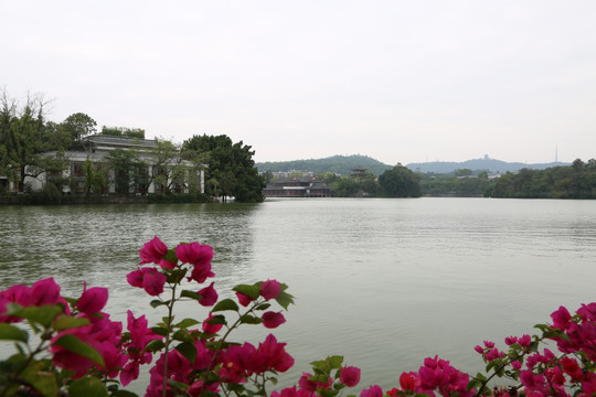 惠州西湖2