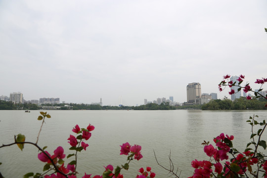 惠州西湖1