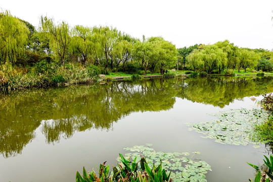 秋意渐浓