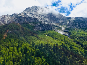 高山森林