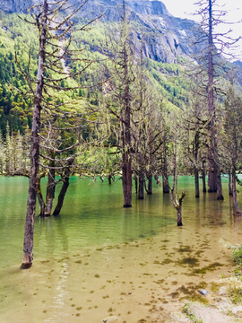 高山湖泊