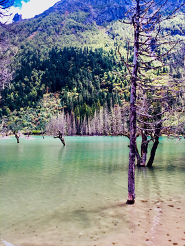 高山湖泊
