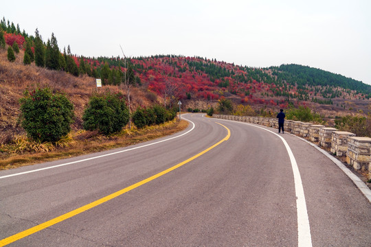 公路