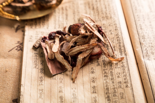 中药材