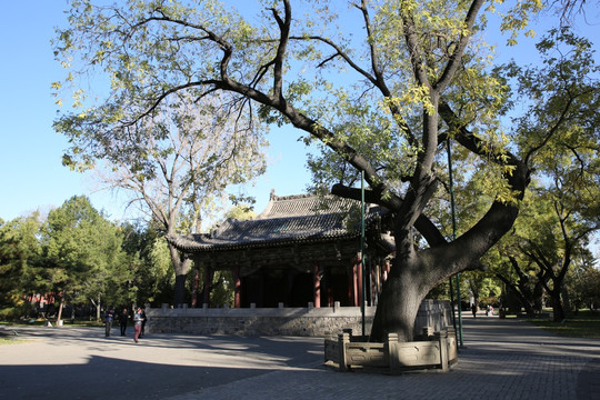 晋祠