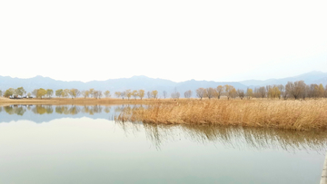 北京野鸭湖湿地公园