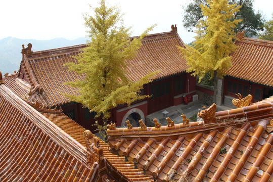 盘山寺院