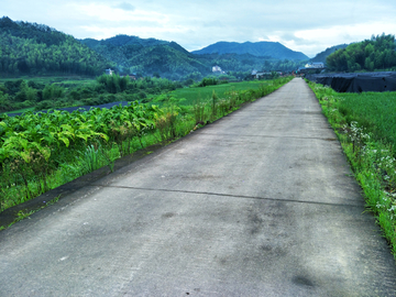 山村小路