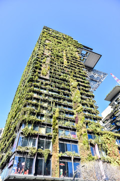 澳大利亚墨尔本城市风光