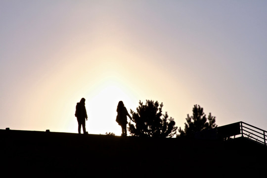 夕阳美女小树