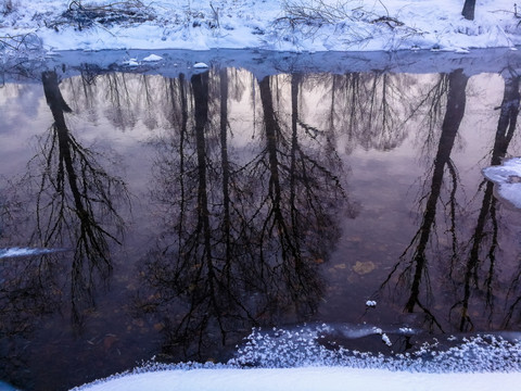 冰雪河流树的倒影