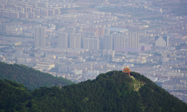 泰山