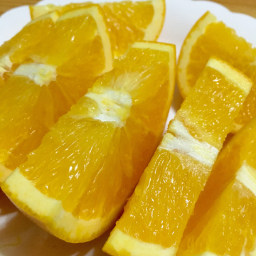 橙子特写