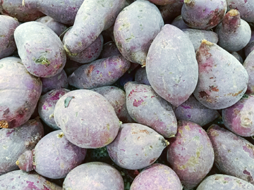 紫薯背景