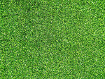 青草地毯