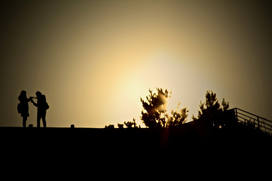 夕阳美女小树