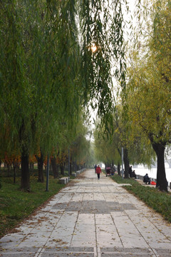 公园小景