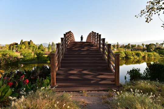 西昌邛海湿地公园拱桥
