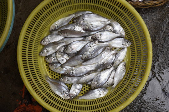 海鲜