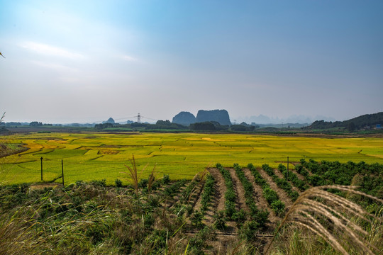 秋天田园