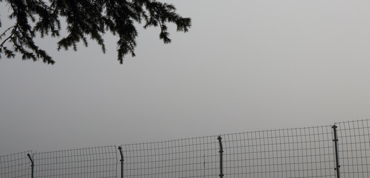 雾天