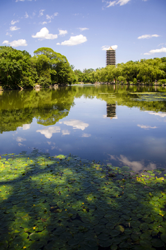 北京大学