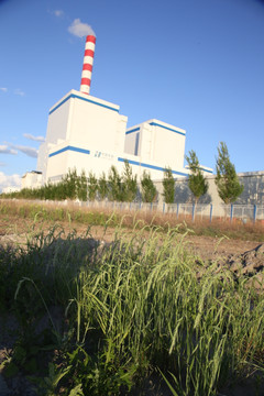 热电厂绿化