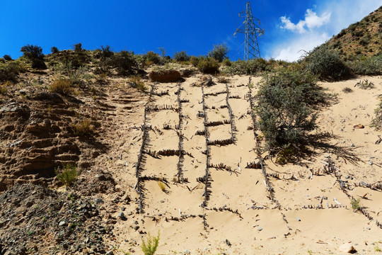 土壤沙化防治防风固沙工程