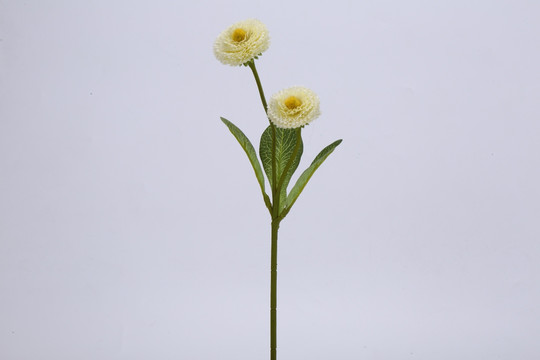 塑料花