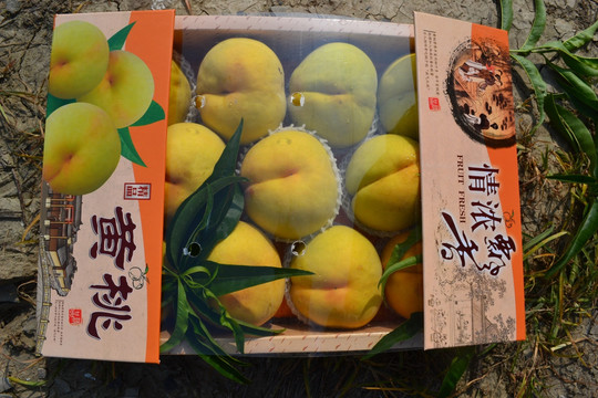 新鲜黄桃精品摄影图